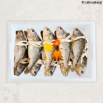영광법성포 부세보리굴비 5두릅 대 / 업소용 / 나주수산 / 50미 / 170g이상