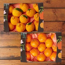 감동 제주 한라봉 2.6kg 11-14과+레드향 15-18과, 1