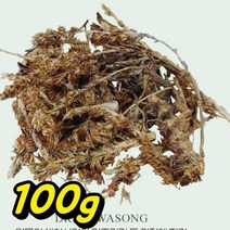 말린 와송 건재 건조 와송 마른 거송 100g 바위솔 와송주 건와송국산 자연산 와송