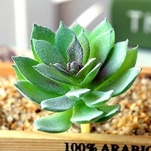 (주)아트인 인조 다육 식물(M10), 안개그린, 1개
