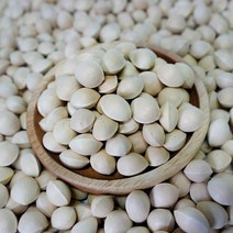 은행팜 피은행 5kg, 1개