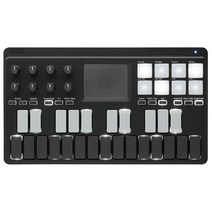 KORG Korg Classic USB/Wireless All -in- 온라인 MIDI 키보드 Nanokey Studio Music Production DTM A4 크기 소프트웨어 라이센스 25 키를 포함한 소프트 키, 상품명참조, 상품명참조