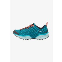 살레와 DROP라인 GTX Hiking 신발 오션canal 블루