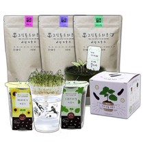 슬로시 키우기 좋은 식물화분 꽃 허브 새싹 재배세트 씨앗, 그림봉투화분(방울토마토)