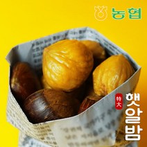 [농협] 햇밤 순창 알밤 특대 1kg (제수용), 단품