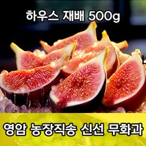 산지직송 최고급 품질 전남 영암 무화과 500g 1팩 2팩 4팩 하우스재배 3중 안심포장 생무화과 무아과과일 무화과생과 꿀무화과 청무화과 제철과일, 500g 1팩(5~8과), 1개