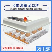 부화기 입문용 2021년 신상품 조류 자동 부화 병아리 계란부화기 36란 실험, 20. 계란부화기 6란(더블 전기 자동)