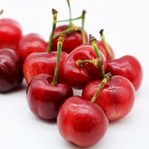 팜커머스 프리미엄 고당도 생체리 1kg 항공직송 왕체리, 단품