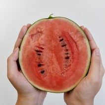 당도선별 고당도 애플수박 미니수박 2수 못난이 꿀수박 산지직송, 고당도애플수박 3입 (개당 1kg내외)