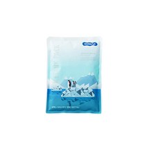 코멕스 아이스탱크 젤팩(1호), 단품, 1, 01.아이스탱크 젤팩1호(310g)