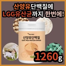 산양유 단백질 아침 점심 저녁 대용 식 노인 중년 장년 중장년 간편한 맛있는 부모님 맘 엄마 수유부 LGG 유산균 다이어트 갱년기 모유 초유 에너데이 30대 40대 50대 60대, 1260g(6통)