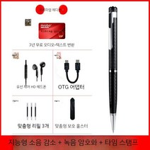 볼 펜 녹음기 보이스 간편 레코더 연속 녹음 위장, B타입 볼펜 녹음기, 8GB