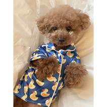 페로펫 명품 강아지옷 오리 꽥꽥 파자마 XS-3XL