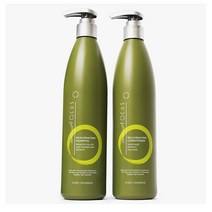 Perfect Hair - Rejuvenating 리쥬버네이팅 샴푸 & 컨디셔너 13.52oz(400ml) 2종