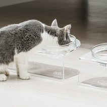 [스튜디오 알로티] 루미 펫테이블+유리볼 2구 M사이즈 강아지 고양이 식탁 수반 물그릇 밥그릇, 단품