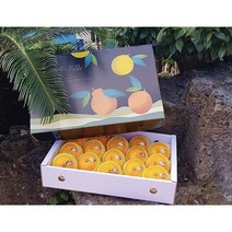 제주도 23년첫수확 고당도천혜향 선물세트 가정용 5kg 10kg [수확전 예약주문받아요/9일 수확후 바로 배송됩니다], 가정용 10kg