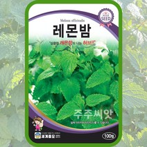 레몬밤 씨앗 150립 허브씨 Lemon balm Melissa officinalis, 단품