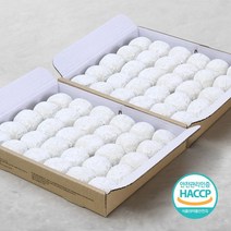 올리고떡 [2박스] 찹쌀떡 60gX30개 + 찹쌀떡 60gX30개, 없음