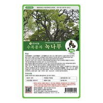 [다농] 녹나무씨앗 1kg[AJ], 상세 설명 참조