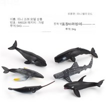 해양생물 모형 궁두고래자리고래 살인고래 미니어처 6종 세트, M6028-미니 고래 모형 54g