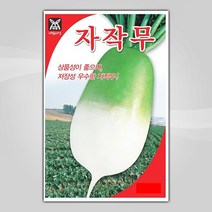 슬로시 슬로시 김장 채소 씨앗 무 배추 당근 씨 종자, 자작무20g(아람)