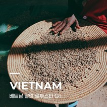 [생두] 베트남 달랏 로부스타 G1 1kg
