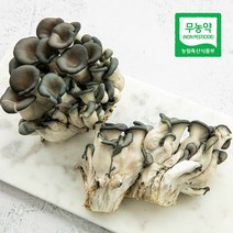 삼시세끼연구소 농협 친환경 무농약 느타리버섯 300g