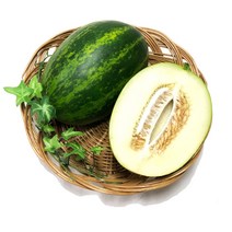 파파야메론/멜론 2kg내외(3-6수), 1box, 2kg(3-6수)