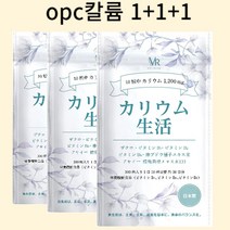 OPC칼륨 1200mg 포도 추출물 비타민B군 함유 3개월