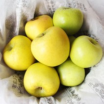 [산지직송] 의성 황금사과(시나노골드) 대 2kg/4kg, (대) 2kg