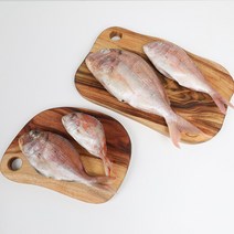 자갈치닷컴 냉동도미 도미, 1개, 28~31cm전후 5마리
