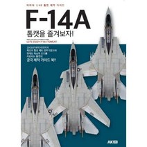 [밀크북] AK(에이케이)커뮤니케이션즈 - F-14A 톰캣을 즐겨보자 : 타미야 1/48 톰캣 제작 가이드