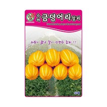 제일 슈퍼금덩어리참외 씨앗 50립, 1개