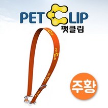 아쿠아벨트 팻클립투명 주황, 그림색상