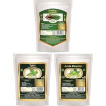 DKM 모링가잎분말 털시분말 암라분말 - 300g (각100g)