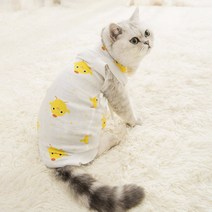 고양이 중성화복 중성화옷 강아지 환견복 중성화수술 암컷 수컷 수술복 3종, 당근