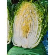 (꿈의그린)22년도 국내산 햇 배추 1망(3포기) 1박스, 6kg 1망(소 3포기)