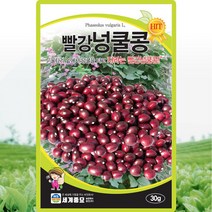빨강 넝쿨성 콩 씨앗 콩씨 종자 30g, 1개