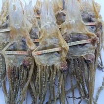 울릉도 당일잡이 마른 오징어 다리(중) 200g, 1개
