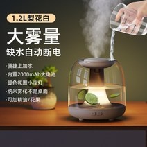 가열식가습기 웰포트 가열식 가습기 휴대용 무음 침실﻿RT-A500, 이화백[간편한 수분가습]