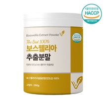 인도 보스웰리아 추출물 분말 100% 65배 고농축 보스웰릭산 AKBA KBA 보수웰리아 플렉서 유향나무 수액 원물 boswellia 식약처인증 관절연골, 보스웰리아 분말 350g x1통, 350g