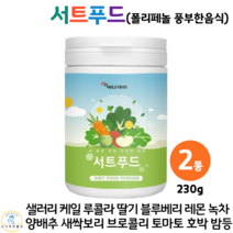 서트푸드 분말 주스 다이어트 폴리페놀 풍부 케일 새싹보리 녹차 양배추 호박 울금 딸기 추출 분말 가루 브로콜리 블루베리 당근 토마토 사과 레몬 팥 밤 추출물 230g, 2통