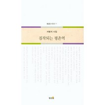 짐작되는 평촌역:서범석 시집, 황금알, 서범석 저
