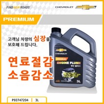 프리미엄 엔진플러시(3L) P93747204, 1개