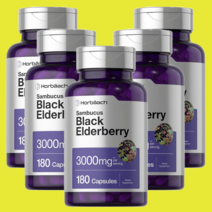 호바흐 삼부커스 블랙 엘더베리 Elderberry 180캡슐 5개