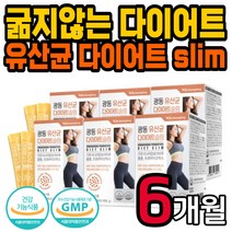 40대 여성 가르시니아 유산균 다이어트 보조제 스틱 얼굴살 턱살 체지방 감소 컷팅제 가르시니아 HCA 여자 단기간 살빼는법 락토바실러스 루테리 가세리 비피도 박테리움 건강기능식품