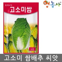 고소미 쌈배추씨앗 500립, 고소미쌈배추