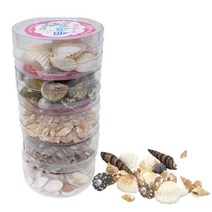 조개껍질 세트_5종