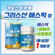 [뉴트로웨이] 매스틱 MAX600 600mg 60정 위건강 장건강 매스틱 메스틱 정 검 그리스 키오스의 눈물 양배추 브로컬리 복통 소화불량 속쓰림, 1개