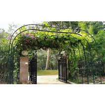 아치형 꽃꽂이 등나무꽂이 정원 월계화 스탠드 철선 연녹로 식물꽂이 야외 꽃문 정원 장식, 그린:3.5m 너비 2.2m